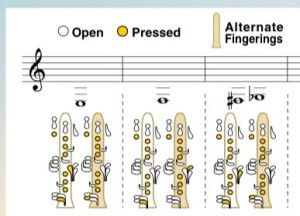 fingering chart explanation
